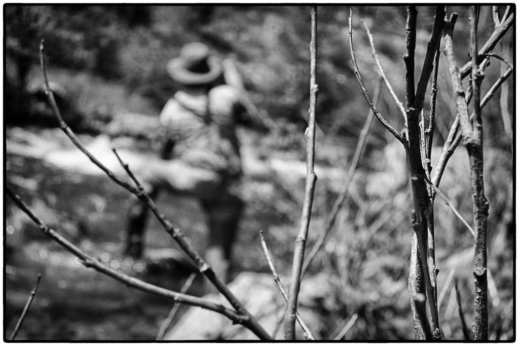 Tenkara fishing