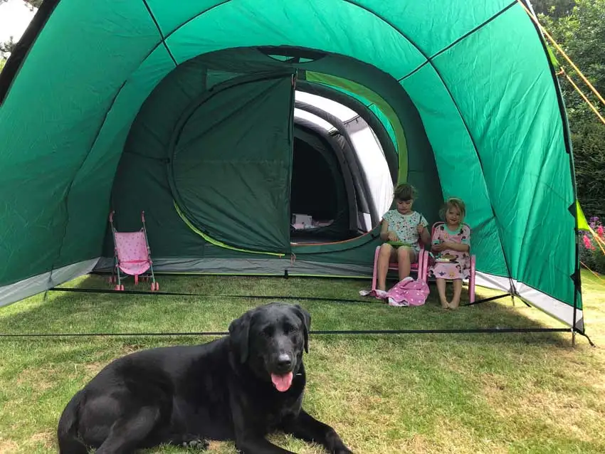 Coleman Family Inflatable Tent